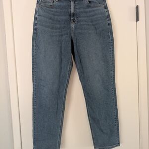 American Eagle Outfitters Blue Ankle Cropped Jeans